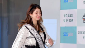 다이애나 햄드 '미스 유니버스 이집트'