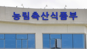 2월17일부터 서울·경기지역 '고양이'도 동물등록 가능