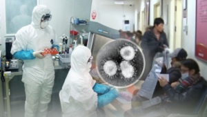 JP모건 “韓 신종코로나 감염 최대 1만명 전망…증시 하락 가능성도”