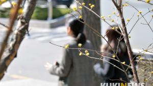 조금씩 다가오는 봄
