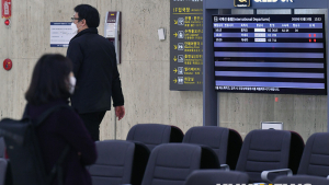 일본 하네다행 '결항'