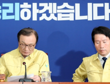민주당, 결국 ‘비례연합정당’ 참여 전당원에게 묻기로