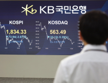 폭락하는 증시에 연기금 동원·한시적 공매도 금지 등 방안 검토