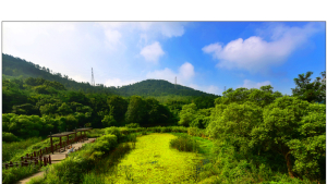 고창군, ‘람사르습지도시’ 인증 신청