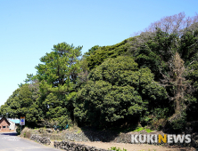 제주도에서 1년…애월의 금산공원과 복덕개포구와 곽지-한담 해변길