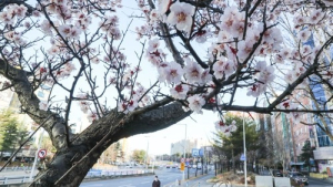 [오늘날씨] 출근길 ‘맑음’… 전국 미세먼지 ‘보통’