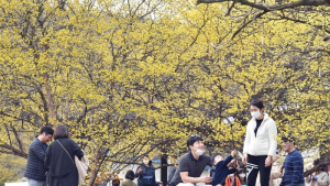 주말, ‘코로나19’에 지친 몸과 마음 달래려 야외로…