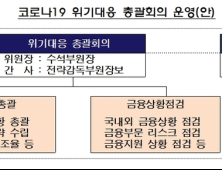 금감원, 코로나19 위기대응 총괄회의 가동…은행 외화 중개 점검 나서기로