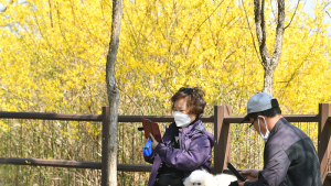 '응봉산에서 맞는 봄'