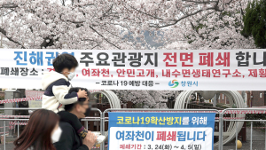 '취소된 진해군항제'