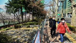 석촌호수 벚꽃축제 '멀리서 즐겨요'