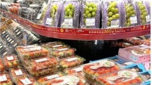 전북 생산 딸기 홍콩 수출길 올라...부안 김제 스마트 팜 생산 딸기 월 2톤 수출