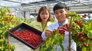'순창 커피' 들어 보셨나요?