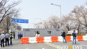 윤중로 벚꽃길은 내년에 보세요