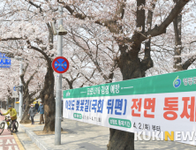 오늘부터 여의도 윤중로 벚꽃길 전면 통제