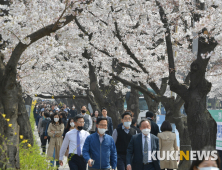 마스크 쓰고 벚꽃 즐기는 직장인들