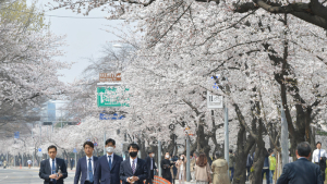 ‘정상영업·일상복귀’ 걸림돌 될 수 있다…주말 등산·꽃놀이 주의