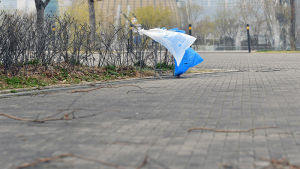 [오늘날씨] 전국 대체로 맑음… 곳곳 강풍 유의