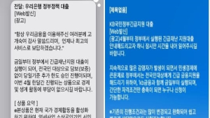 금감원, 코로나 대출 가장한 보이스피싱 '주의' 당부