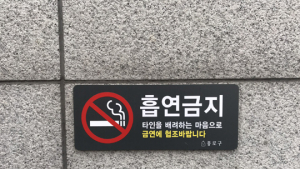 궐련+전자담배 '니코틴·발암물질' 검출량, 궐련흡연자와 유사