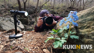 수도권 산들꽃의 보고(寶庫) ‘천마산’
