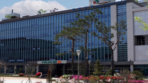 임실군 부동산 소유권 이전등기 특별조치법 8월 시행
