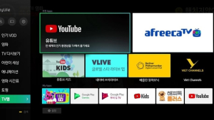 스카이라이프서 아프리카TV와 V라이브도 본다