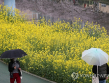 [오늘 날씨] 금요일 전국 흐리고 비…낮 기온 쌀쌀