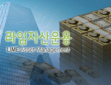 라임 판매사들, 환매중단 펀드 처리 위해 '배드뱅크' 설립 추진