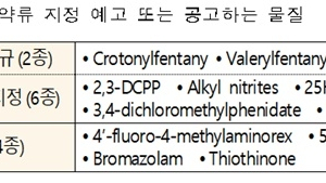 ‘크로토닐펜타닐’ 등 남용 가능 있는 약물 임시마약류 지정