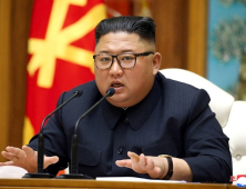 김정은 위독설, 설왕설래… 통일 기대감·우려 ‘동반 상승’