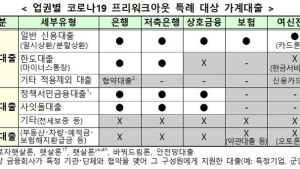 29일부터 개인채무자 원금상환 최대 1년 유예..신청 자격과 방법