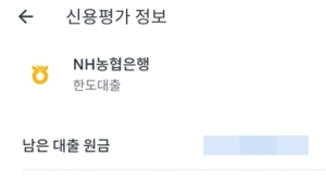 개인채무 원금상환 1년 유예...