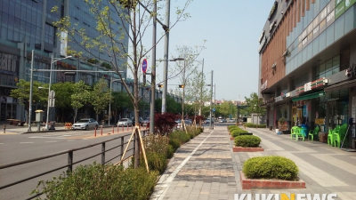 안양시, 평촌대로 등 5곳에 수목 2만1천여 그루 식재