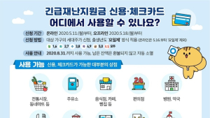 11일 신용·체크카드 9개사 통해 코로나 긴급재난지원금 신청 시작
