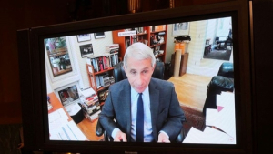 美 파우치 “권고안 따르지 않은 경제재개,  통제할 수 없는 위험 촉발