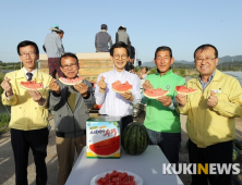 고창수박, 첫 출하...지난해에만 60억원 매출 기록