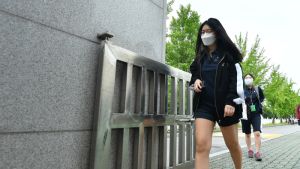 '반갑다 학교야'