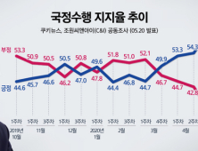 [쿠키뉴스·조원씨앤아이 여론조사]  2020년 5월 4주차 국정수행평가