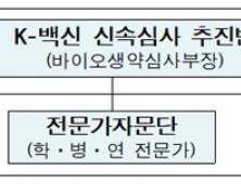 'K-백신 신속심사 추진반' 운영…제품화 전담 지원