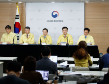 정부 