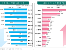 코로나에 성형외과 매출 되려 '늘어'…여행사·영화관 피해는 '심각'