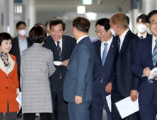 이낙연 코로나위원장 보는 시선, 당정가교 vs 막후총리