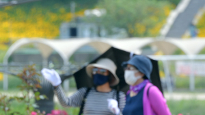 마스크 쓰고 장미 감상하는 시민들