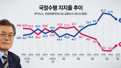 [쿠키뉴스·조원씨앤아이 여론조사] 2020년 6월 1주차 국정수행평가
