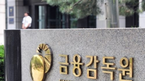청와대 감찰반, 금감원 간부 2명 중징계 요구…월권 논란