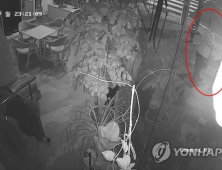 길거리 성추행 부장검사, 경찰 조사서