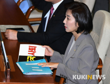 서울대, 나경원 아들 연구발표문 제1저자 등재 '문제 없다' 결론