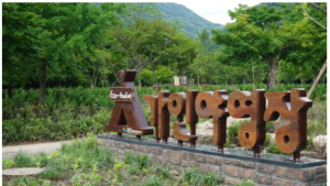 여름성수기 국립공원 야영장 추첨 신청, 오늘(15일)부터 24일까지