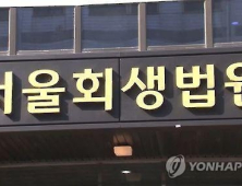 개인회생 중 질병으로 중단 위기… 법원 “청산가치 이상 변제 등 이유 ‘특별면책’”